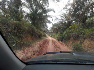 The 5 hours drive through palm oil plantation