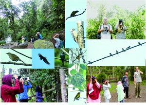some snapshots of the 2020 Big Month birding series of Cikananga