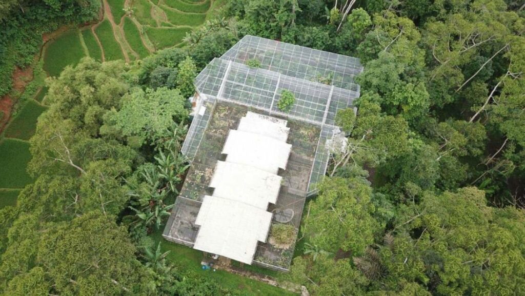 Wildlife Rescue Center – Cikananga Wildlife Center